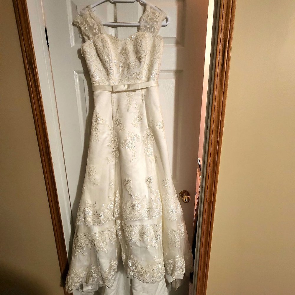 Champagne Wedding Dress - Picture 1 of 9